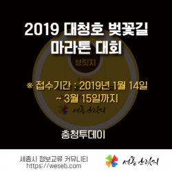 2019 대청호 벚꽃길 마라톤 대회